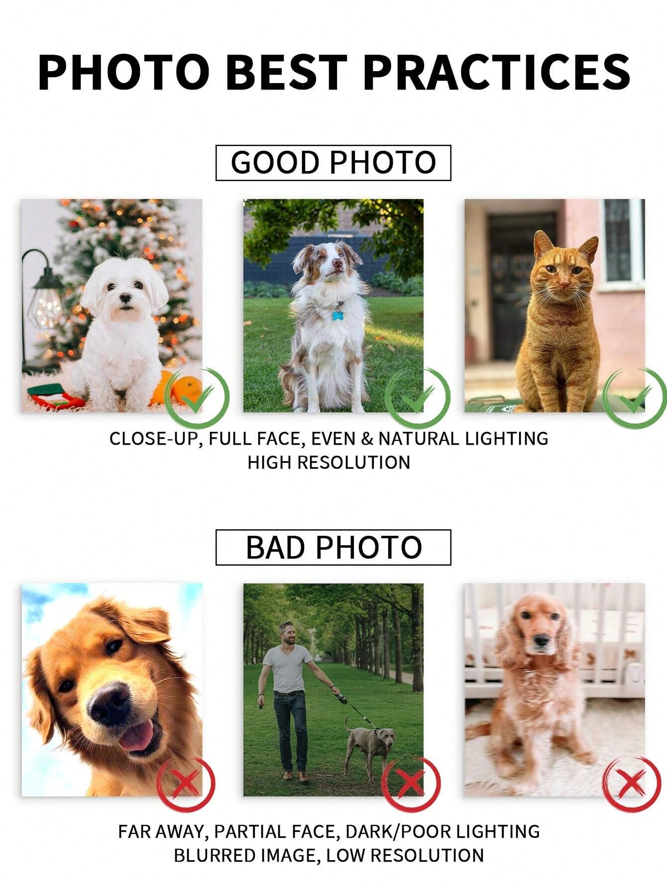 Bingkai Foto Potret Hewan Peli - Pet Portrait Custom ulasan dan harga